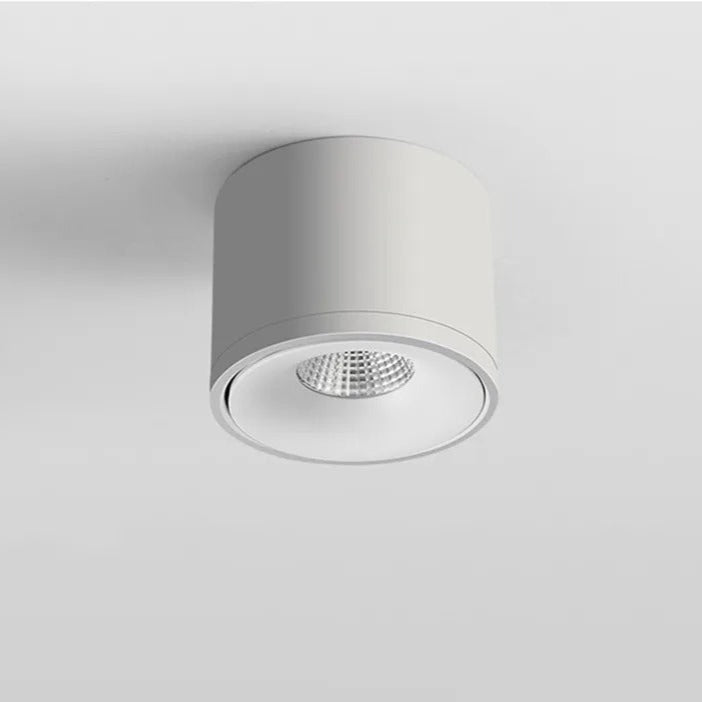 Flexible LED Ceiling Spot Light With Adjustable Arm