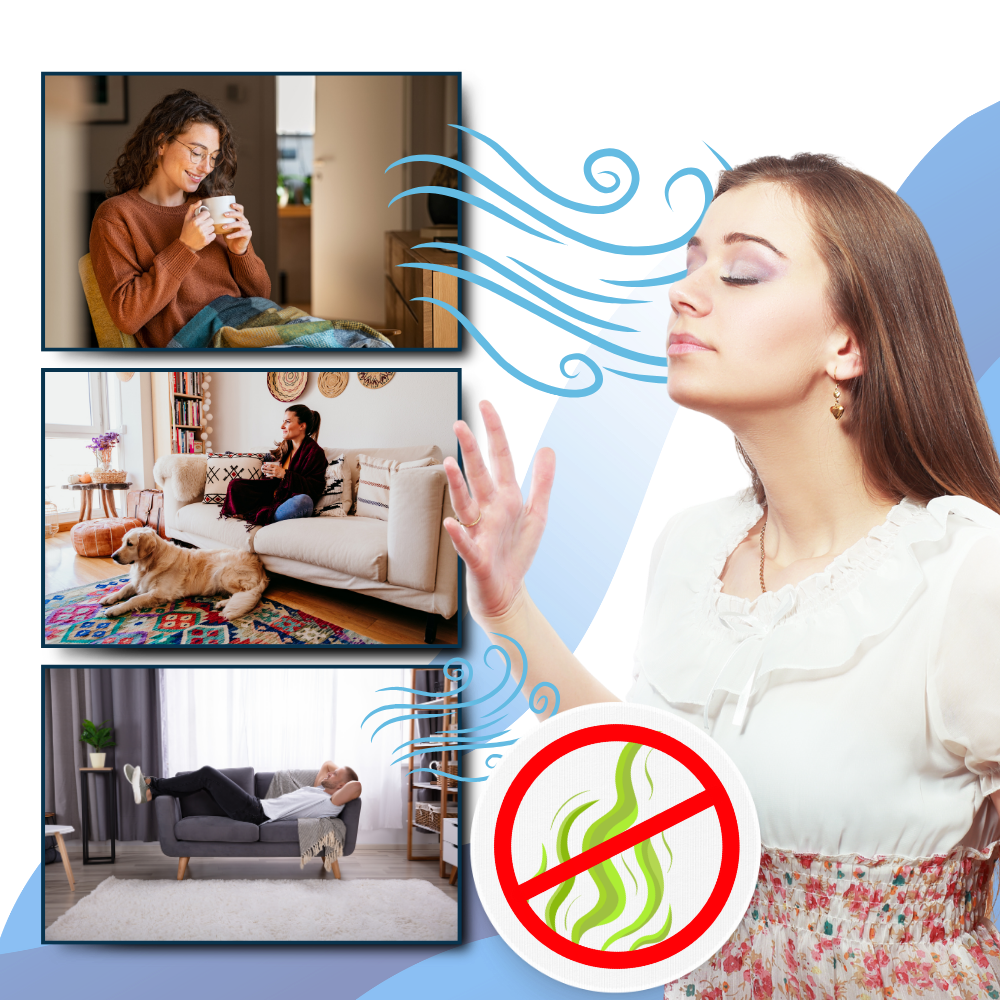 Portable UV Light Bed Bug Killer For Home Use