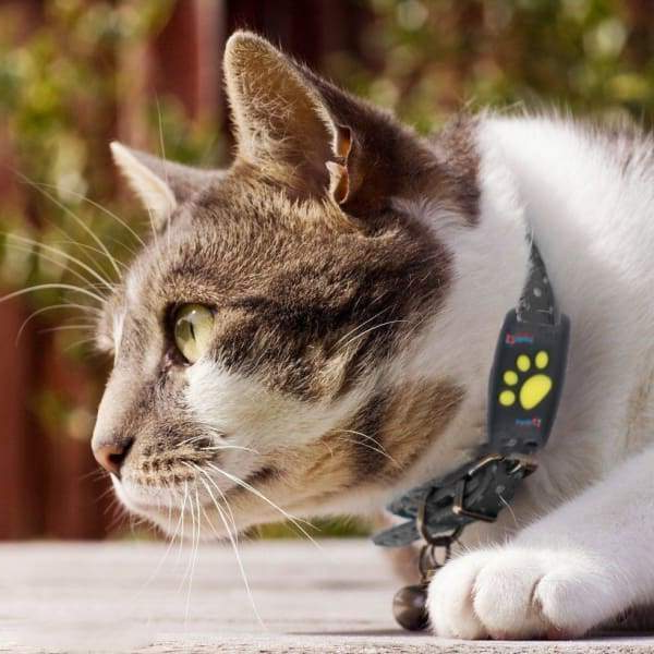 Pet Tracker Device with GPS for Cats and Dogs