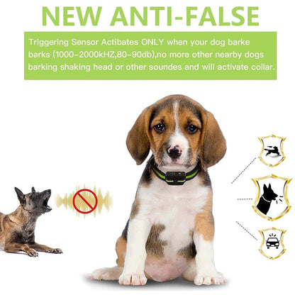 Effective Anti Bark Dog Collar with Rechargeable Shock