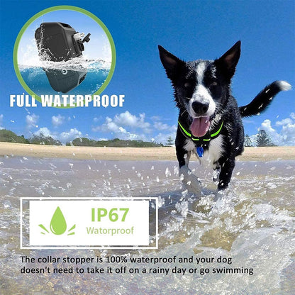 Effective Anti Bark Dog Collar with Rechargeable Shock