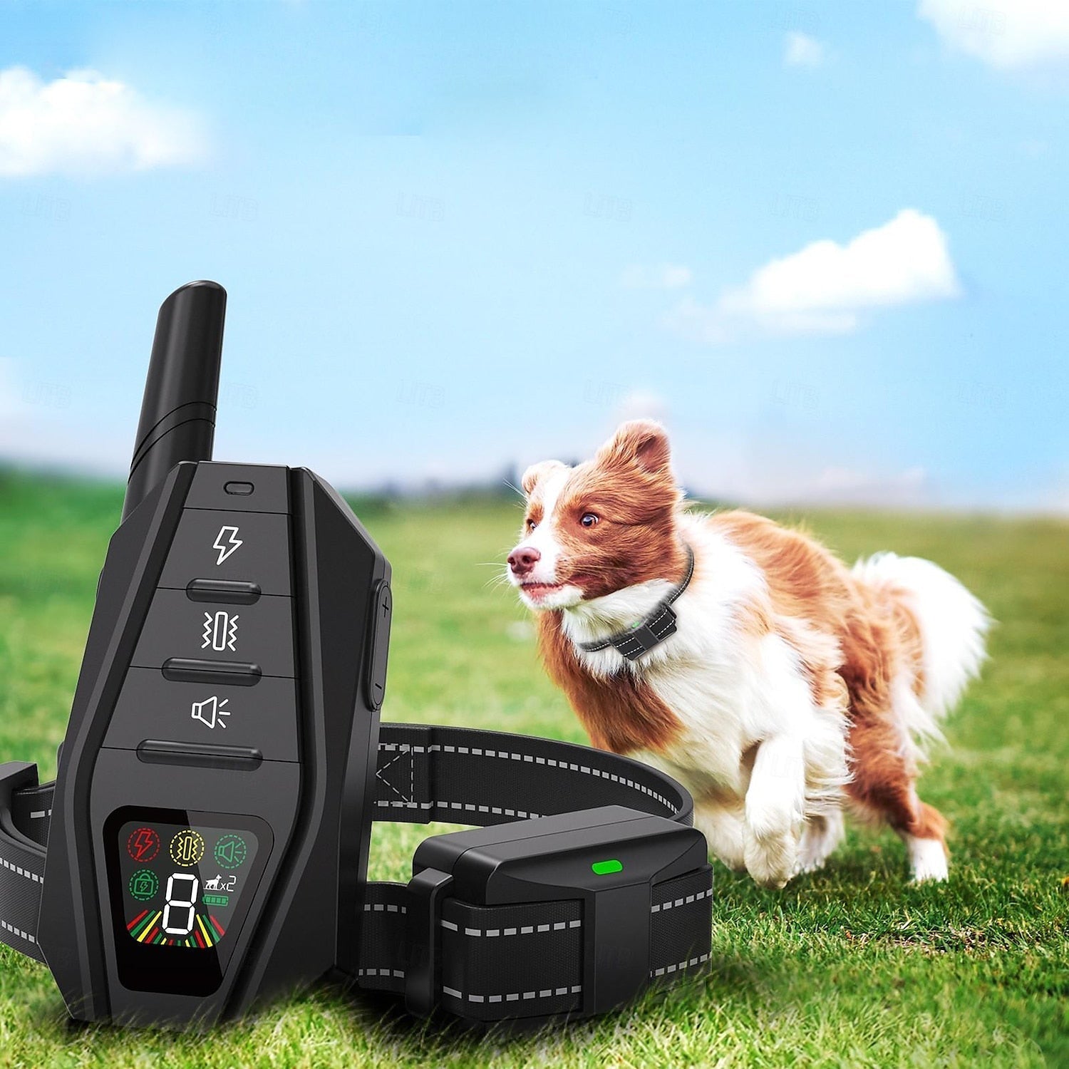 Advanced Remote Control Waterproof Dog Training Collar - Lusomart