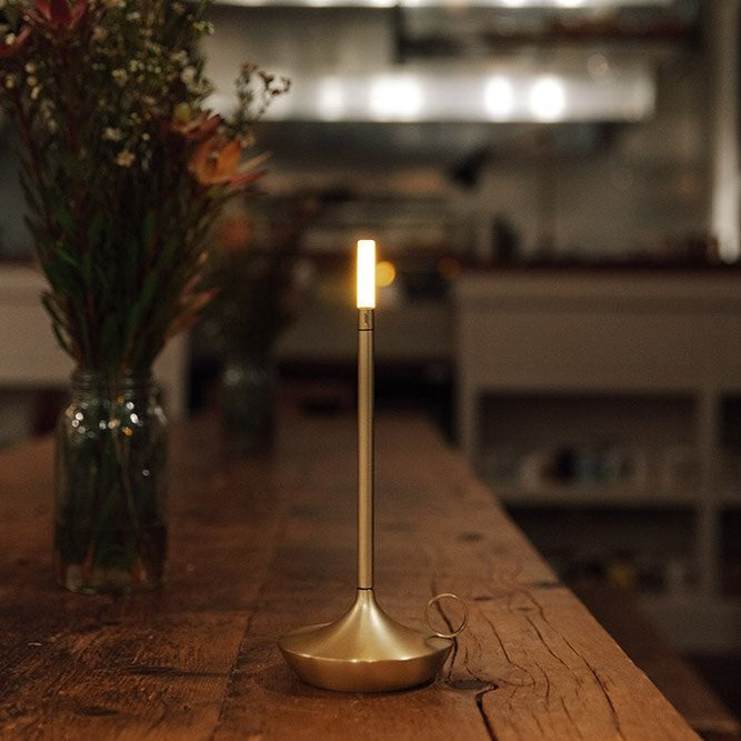 Contemporary LED Table Lamp - Portable Dimmable Light