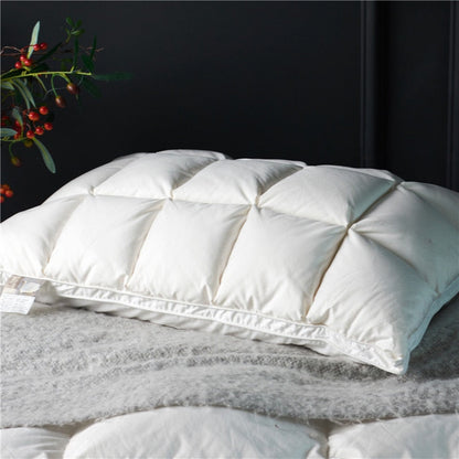 Soft Down Pillow Set 2 Pack Cotton Cover