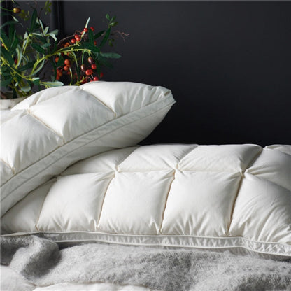 Soft Down Pillow Set 2 Pack Cotton Cover