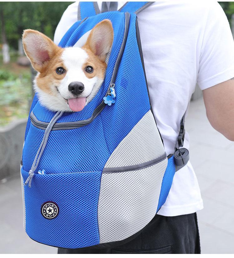 Pet Hiking Backpack Safe Comfortable Dog Carrier