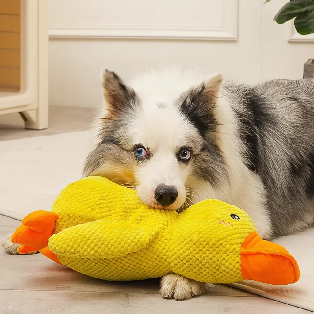 Soothing Pet Toy Squeaky Chew Plaything