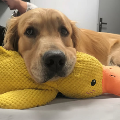 Soothing Pet Toy Squeaky Chew Plaything