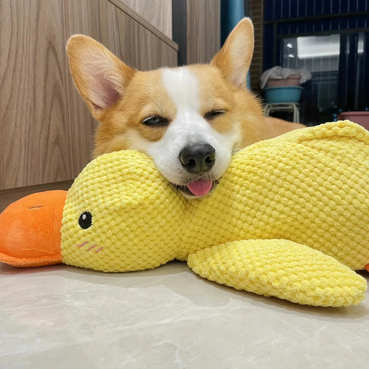 Soothing Pet Toy Squeaky Chew Plaything