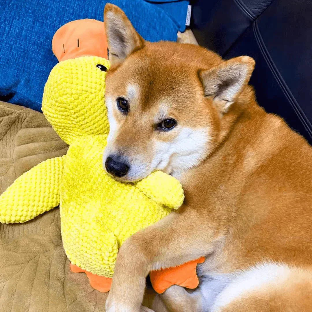Soothing Pet Toy Squeaky Chew Plaything