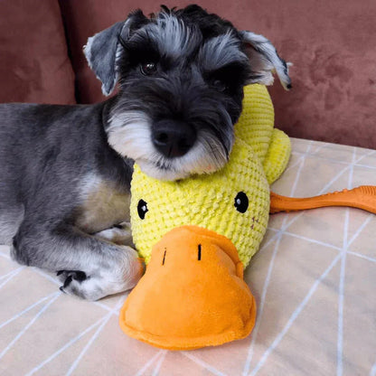Soothing Pet Toy Squeaky Chew Plaything