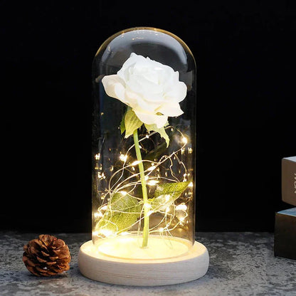 Timeless Rose - Soft LED Light