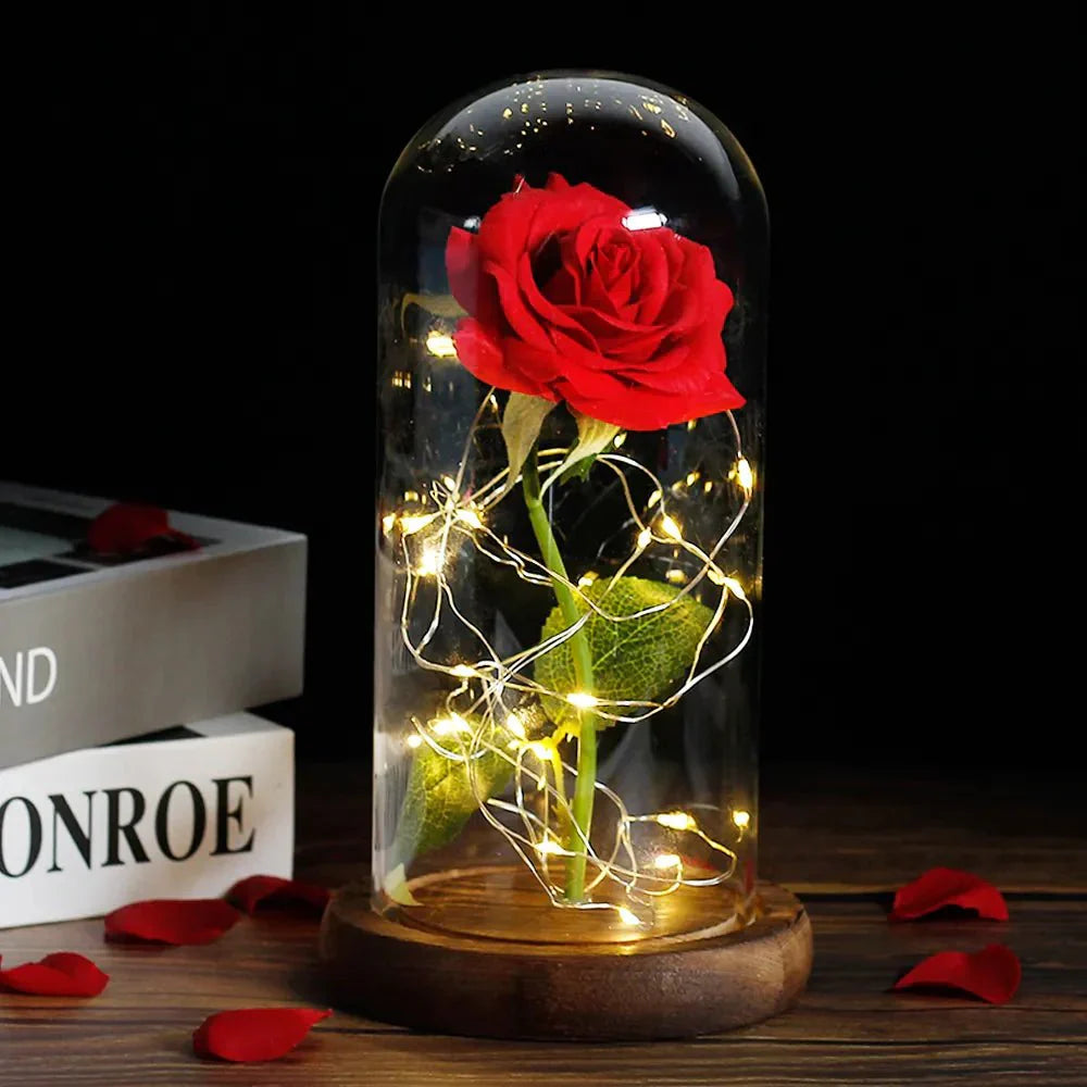 Timeless Rose - Soft LED Light