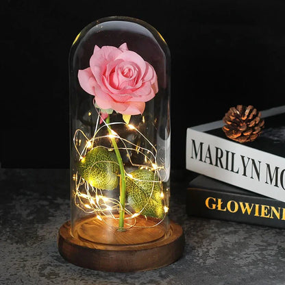 Timeless Rose - Soft LED Light