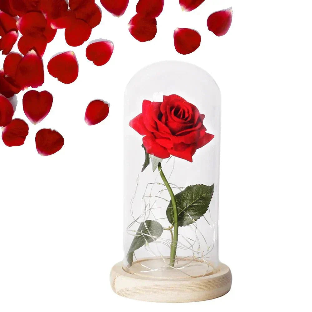 Timeless Rose - Soft LED Light