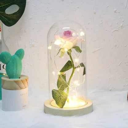 Timeless Rose - Soft LED Light