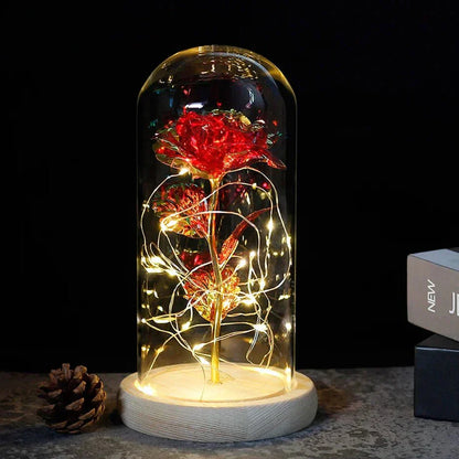 Timeless Rose - Soft LED Light