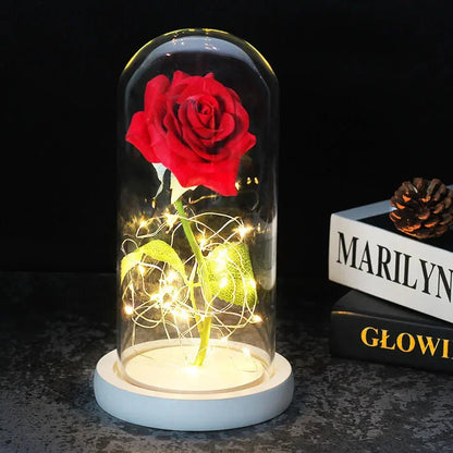 Timeless Rose - Soft LED Light