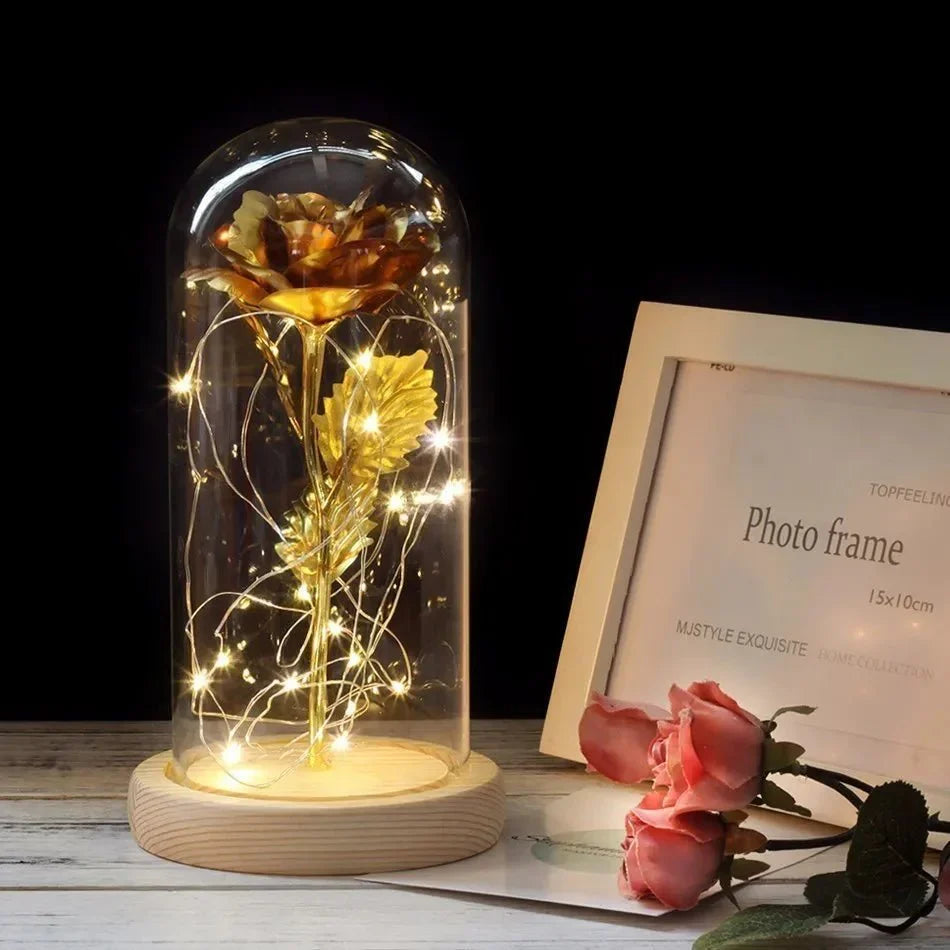Timeless Rose - Soft LED Light
