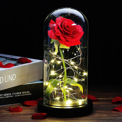 Timeless Rose - Soft LED Light