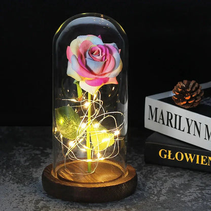 Timeless Rose - Soft LED Light