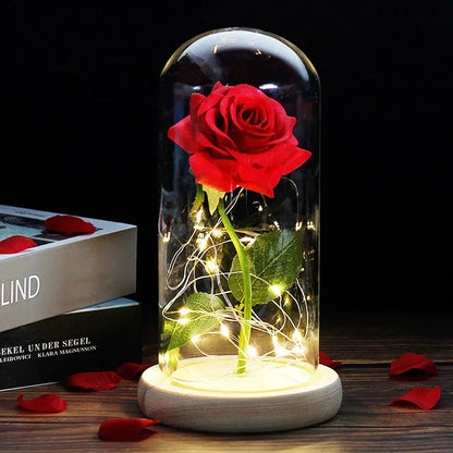 Timeless Rose - Soft LED Light