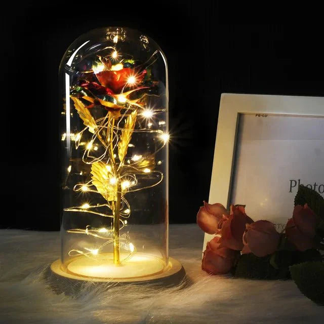 Timeless Rose - Soft LED Light