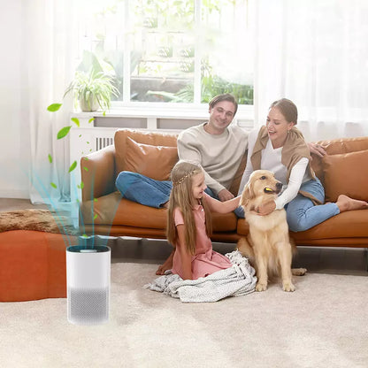 Small Room Quiet True HEPA Air Cleaner