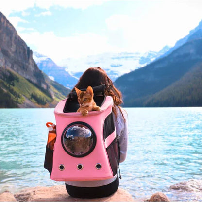 Comfortable, Spacious Cat Hiking Backpack For Outdoor Adventure