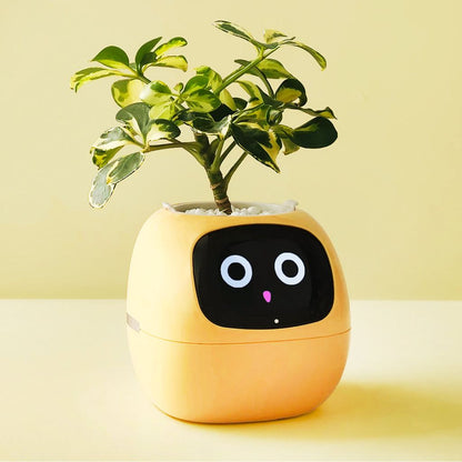 Intelligent WiFi Planter with Alexa Control