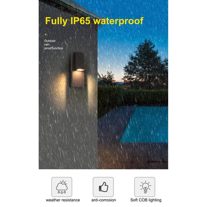 Classic Black Weatherproof Outdoor LED Wall Light