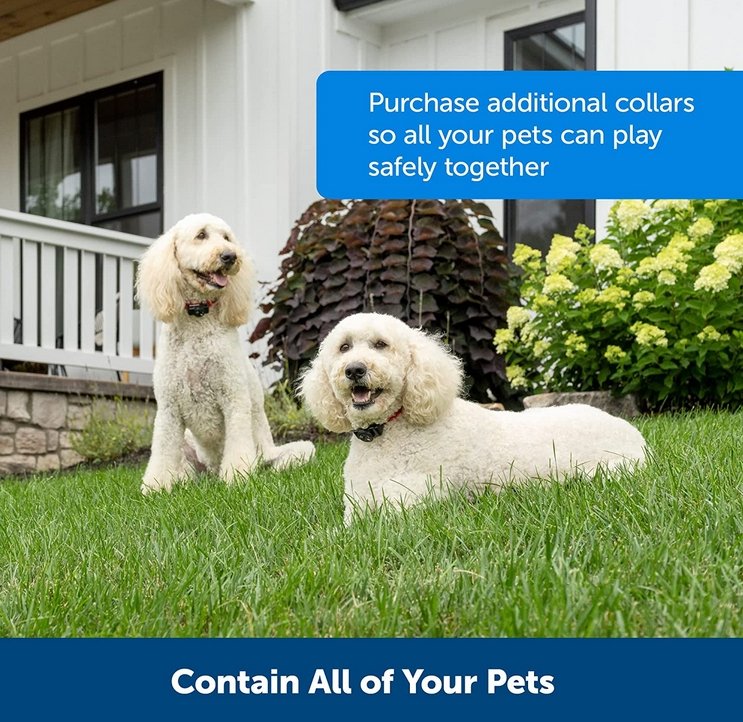 Pet Safe Wireless Dog Collar Rechargeable Fence System